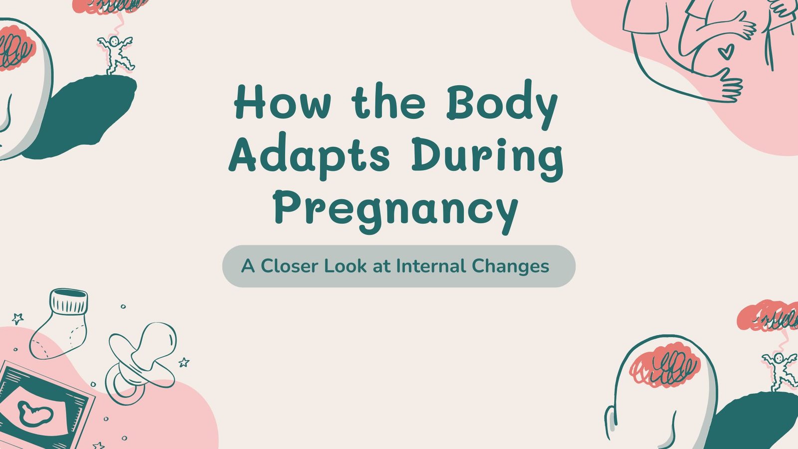 How the Body Adapts During Pregnancy: A Closer Look at Internal Changes